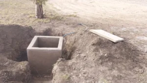 1753788772_9affee6a163ba82fad49