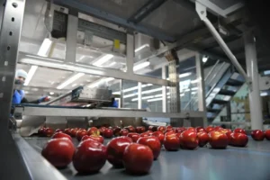 1753971819_c60da45e68c79c47b51f