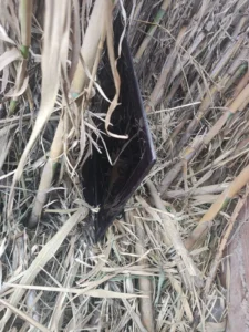 WhatsApp-Image-2025-07-03-at-17.36.14-768x1024