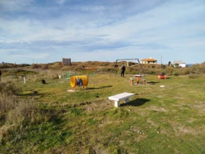 WhatsApp-Image-2025-07-18-at-12.13.03