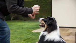 1754059045_8d8c4d48a53bbfed9b1a