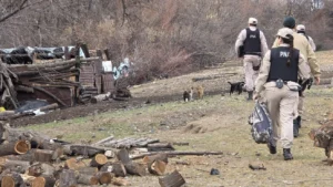 1754314156_c2133def5ce404e0b487