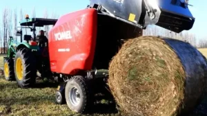 1754320527_a51442bd6133137b1e50