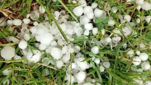 1755107037_4f04947244cd65fc0864