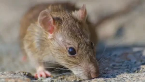 1755822491_746e83a830444badd377