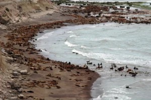 WhatsApp-Image-2025-08-28-at-10.59.43