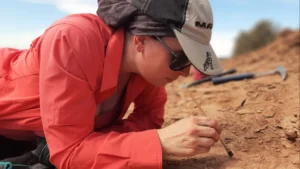 1723746178_488ab3145e41d4143d9e