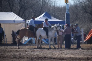 1757352341_ed9594e8183b24071b74