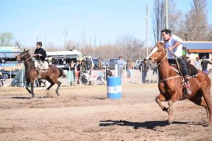 1757525007_9d3b84c5ec7604e1eddc