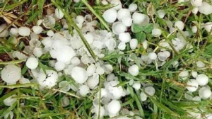 1757603666_5c57267365b66533cf21