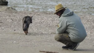 1758211319_d8fa6e3b3ea8e81dc341