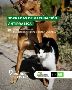 WhatsApp-Image-2025-09-18-at-13.00.05-1