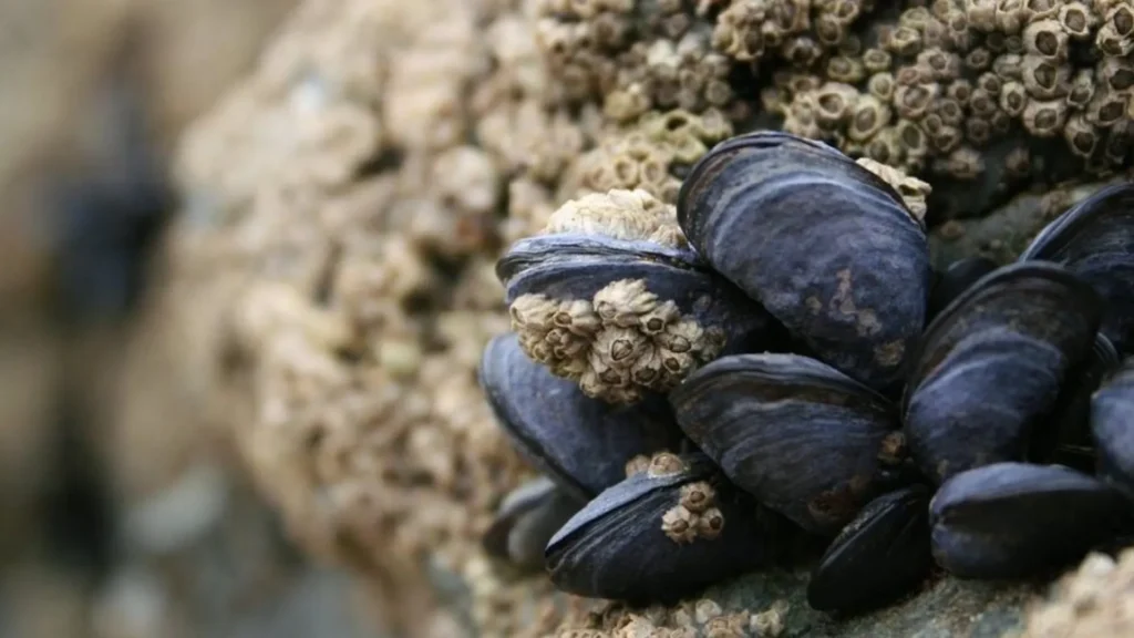 1761831651_c62e40fdd69726b80e27