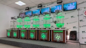 1761828745_e6e7308729d295a39fb2