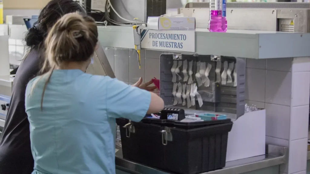 1763053766_008c090bc7fd81dd9fae