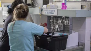 1763053766_008c090bc7fd81dd9fae