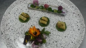 1763401083_6459607984a5bce2444f