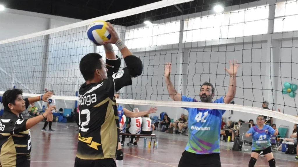 1763486402_56a9fff7051c7ebd1100