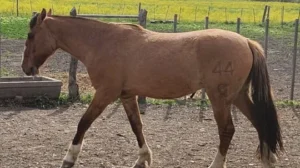 1764589185_58e7aacb1e114fe6a87d