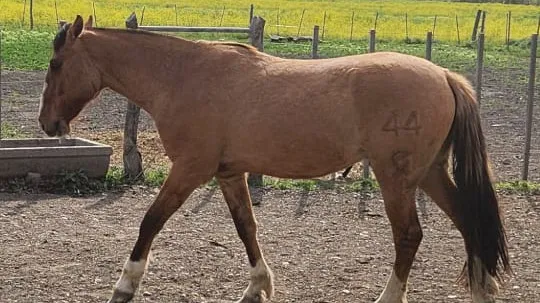 1764589185_58e7aacb1e114fe6a87d