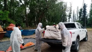 1764611739_aef6d57044ba2ce8ff6e