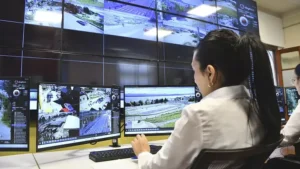 1765310252_b9077147116164bd4ee6