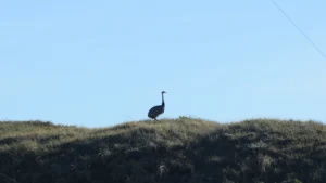 1767021894_4cd2b5d22ece4c9c3201