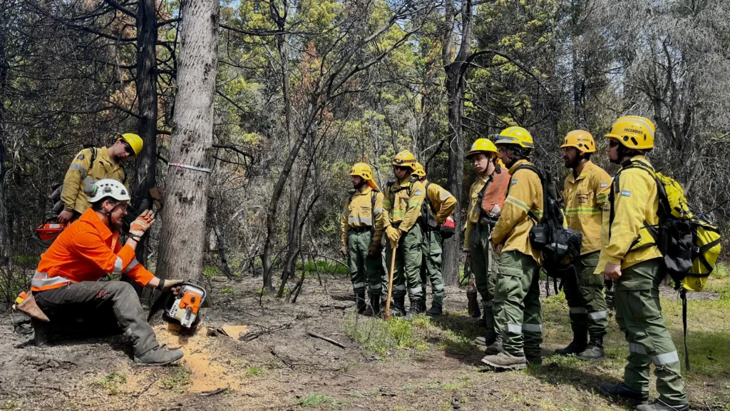 1767029707_222238b73d562a53fae0