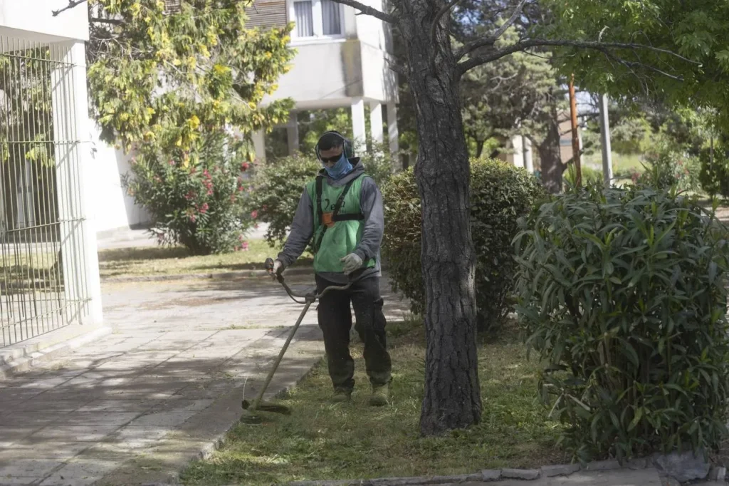 5017268744245414659-1