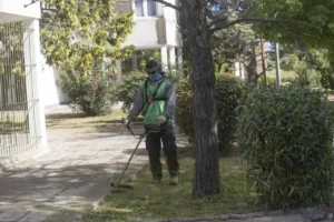 5017268744245414659-1