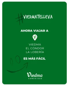 WhatsApp-Image-2025-12-12-at-13.03.37