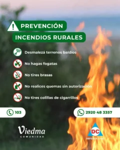 WhatsApp-Image-2025-12-29-at-09.52.49