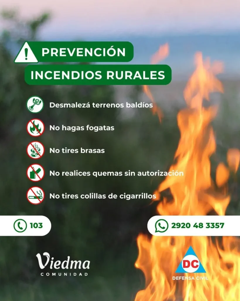 WhatsApp-Image-2025-12-29-at-09.52.49