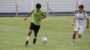 1775064409_b9628c3739ec5180ce57