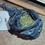 Marihuana decomisada en Viedma