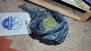 1775074264_2c6779beeccd1404e1fb