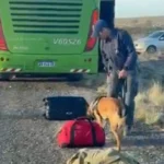 Controles reforzados en accesos a Río Negro