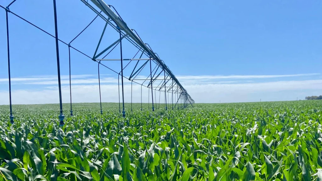 1776705724_f0f0fb390d2f02791e77