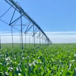 Río Negro impulsa jornada técnica para la eficiencia hídrica y energética