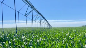 1776705724_f0f0fb390d2f02791e77