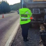 Perros Adiestrados en Operativos Preventivos