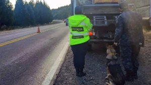 1776946233_89e0511b7b8427f8399a