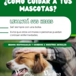 Viedma impulsa campaña contra abandono animal