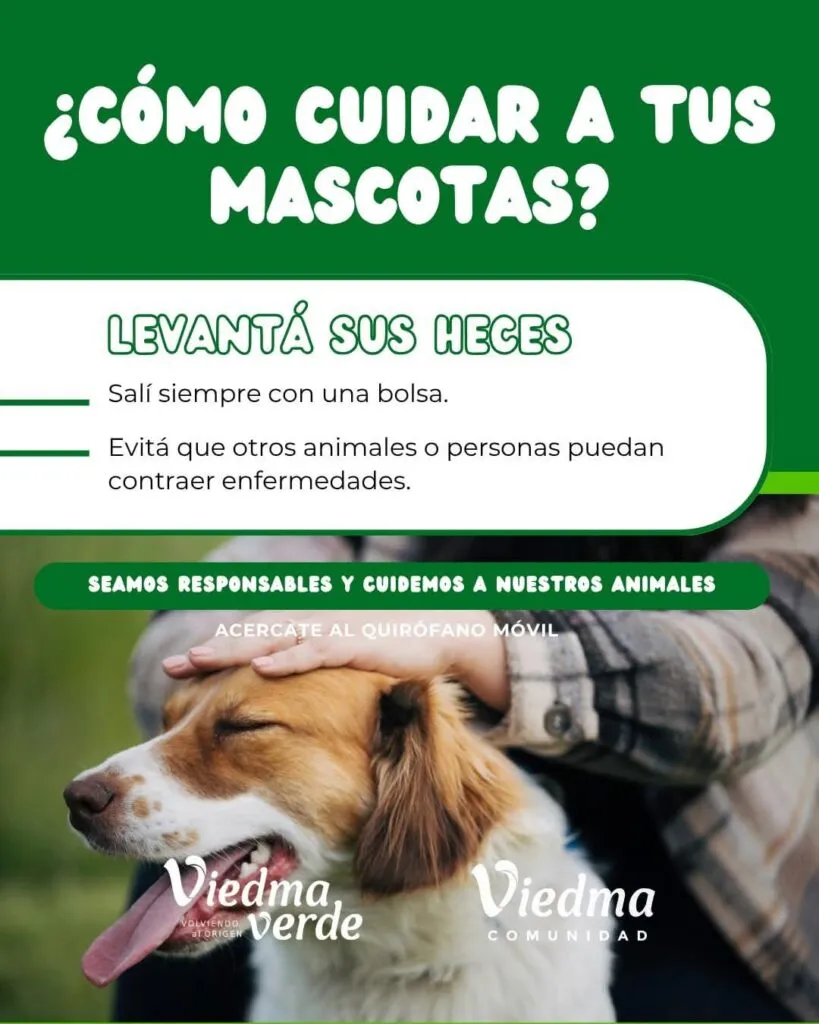 WhatsApp-Image-2026-05-19-at-09.08.293-819x1024